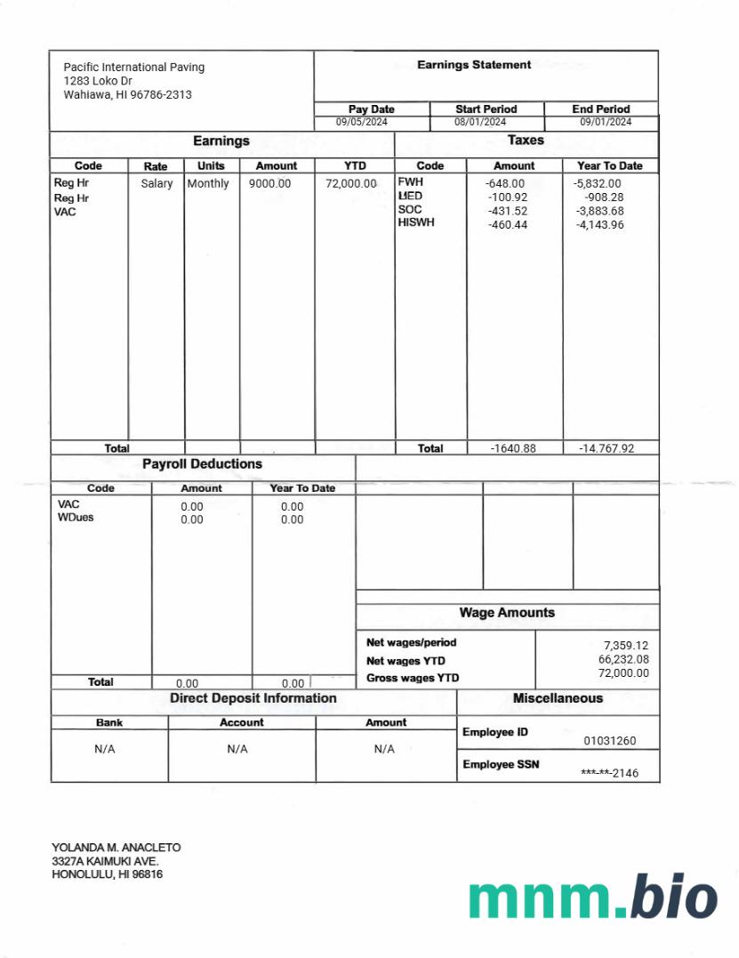 Pacific International Paving earnings statement template in Word and PDF formats